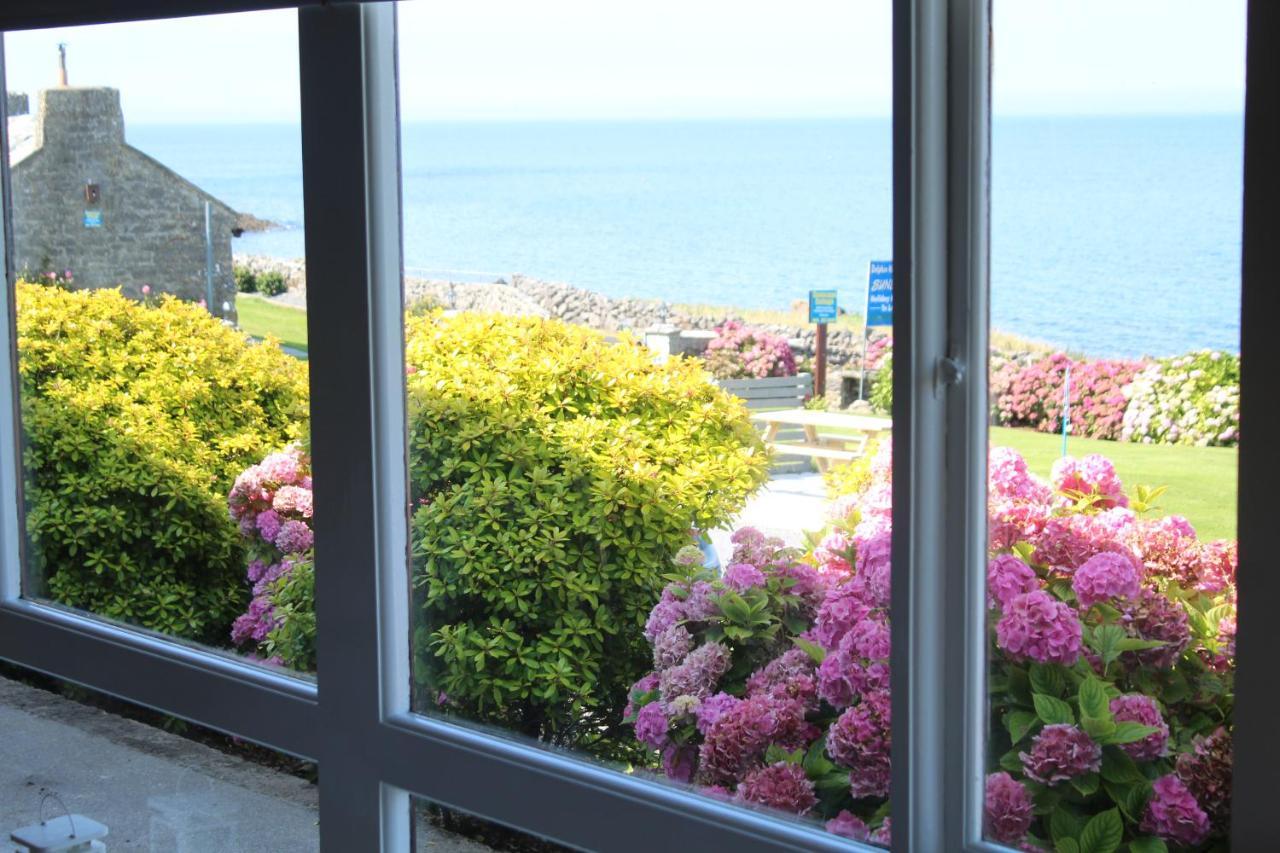Dolphin Watch Wild Atlantic Way Villa Fanore Exteriör bild