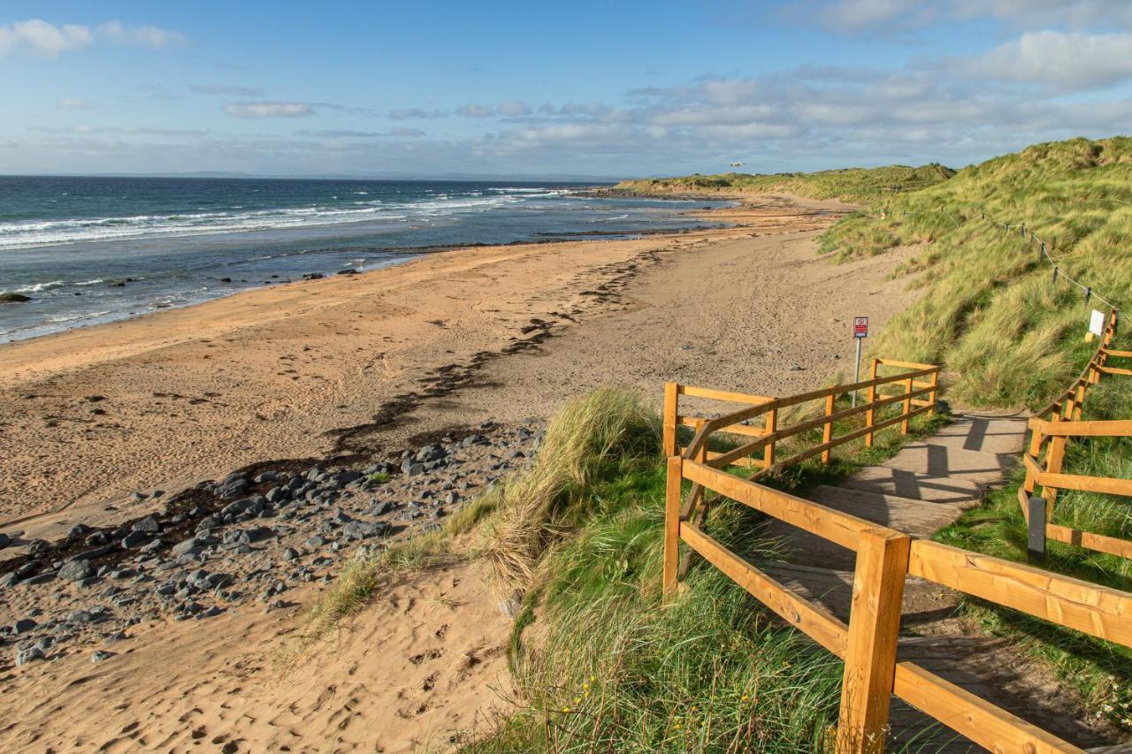 Dolphin Watch Wild Atlantic Way Villa Fanore Exteriör bild
