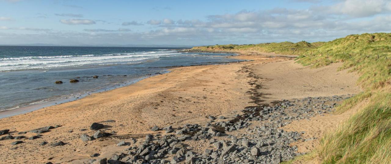 Dolphin Watch Wild Atlantic Way Villa Fanore Exteriör bild
