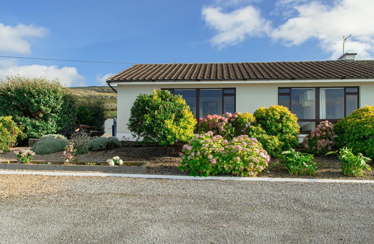 Dolphin Watch Wild Atlantic Way Villa Fanore Exteriör bild