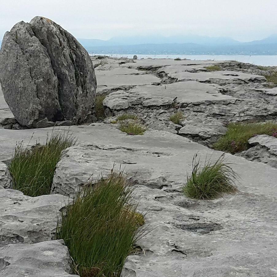 Dolphin Watch Wild Atlantic Way Villa Fanore Exteriör bild